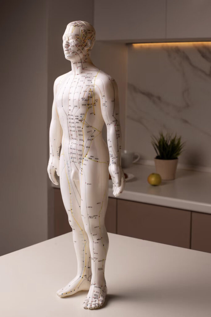 Arnaud Moulinier, Acupuncture Tung, Bègles (Bordeaux Sud)